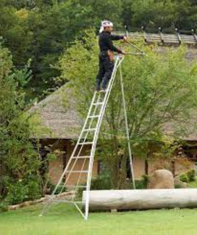 Where to find LADDER, ORCHARD,12 in San Rafael