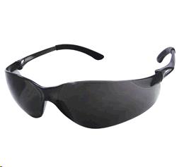 Rental store for GLASSES, NSX TURBO GRAY in San Rafael CA