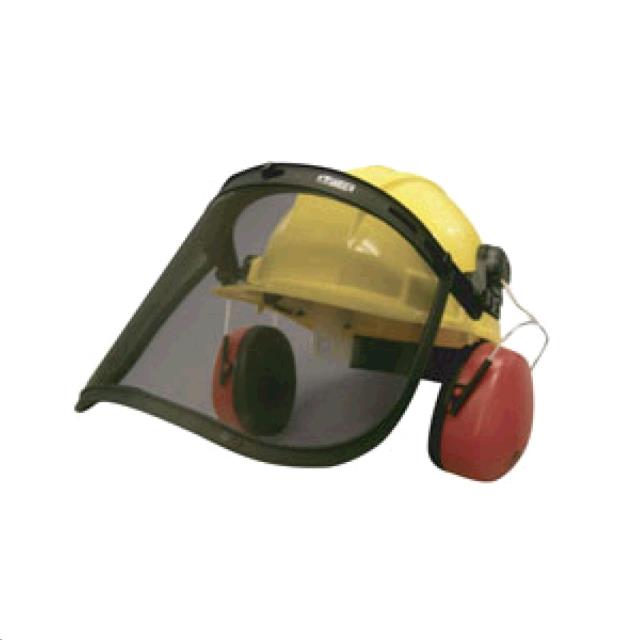 Rental store for EAR MUFF   FACE SHIELD COMBO in San Rafael CA